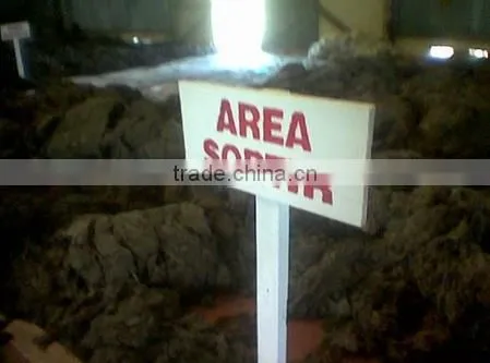 Sell Gracilaria, Euchema Spinosum And Cottoni Seaweeds