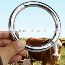 Cow Nose Ring for Sale photo-2