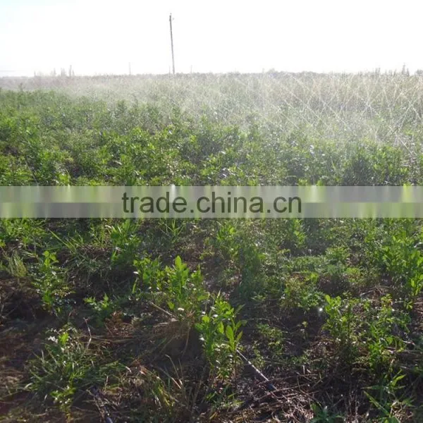 PE Sprinkler Hose / PE Soaker Hose photo-6