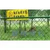 PVC Coated Chain Link