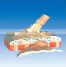 Motor End Plate Model