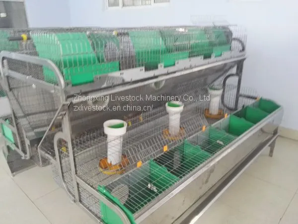 Automatic Rabbit Breeding Cages 2 Tiers, 18 Mother Rabbit Cages and 18 Breeding Boxes photo-5