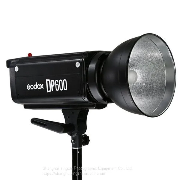 Godox DP600 Photography Studio Strobe Flash Light Power 110V/220V Light Lamp Head For Camera Studio photo-2