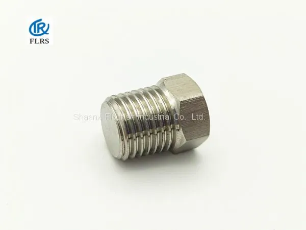 ASME B16.11 Hexagon Head NPT/BSPT A182 F316/316L Threaded Plug/pipe Fitting photo-2