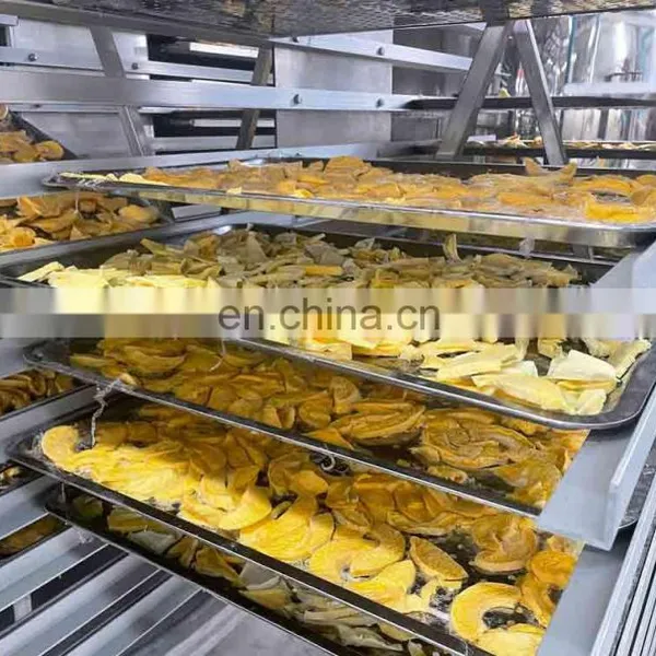 Fruit Vegetable Vacuum Lyophilizer Equipment Freeze Dryer Lyophilizer photo-4