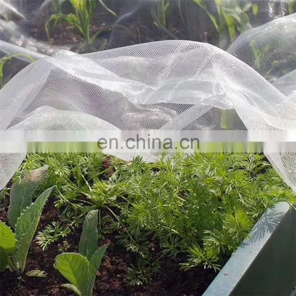 Transparent 40x25 50x25 Agricultural Insect Net Anti Insect Net photo-3