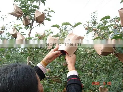High Quality Brown Kraft Paper Manufacturer Fruit Growing Paper Bags photo-5