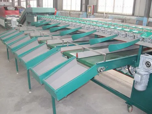 Apple Dates Size Grading Sorting Machine/mango Fruit Grading Machine photo-5