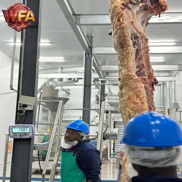 WFA Heavy-Duty Cattle Slaughtering Line 17 лет опыта 15 000 кв. м. Фабрика напрямую оборудование для убойного двора, убойный двор для коров