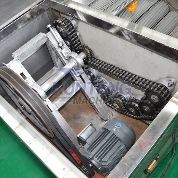 Commercial Fresh Ginger Washing and Peeling Machine Vegetable Washers Shell Fish Carrot Dates Potato Cleaning Machine EPC photo-2