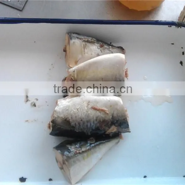 High Quality Canned Mackerel in Brine photo-6