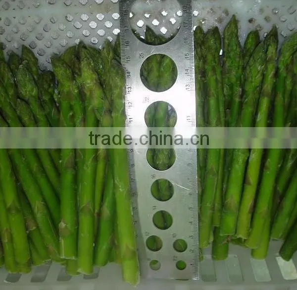 IQF Frozen Asparagus photo-3