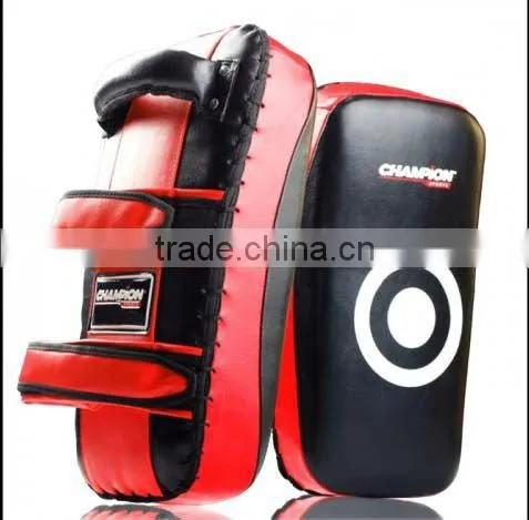 Thai Pads / Kick Pads.