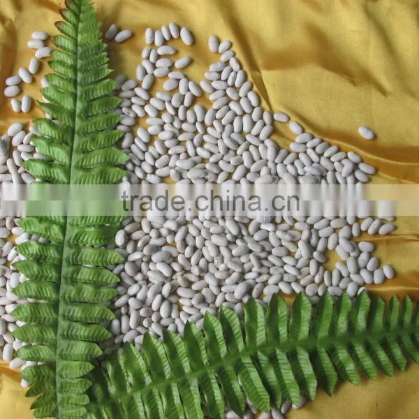Bai Sha ke Chinese Dry White Kidney Beans photo-5