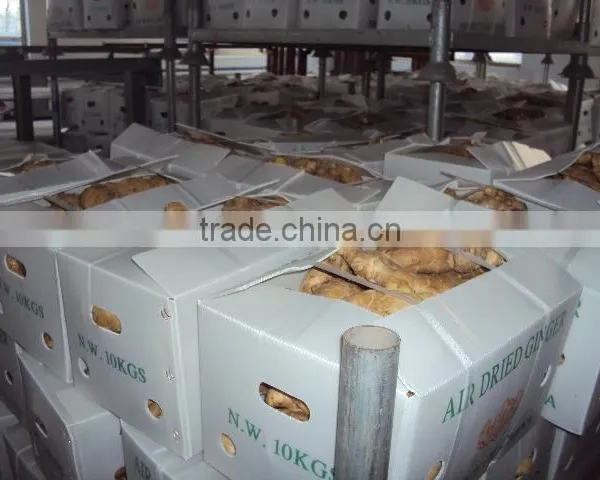 2016crop Air Dried Ginger Price photo-5