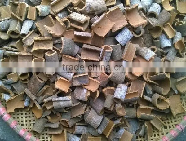 RAW SQUARE CUT CASSIA/CINNAMON WITH SKIN photo-2