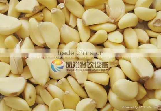 China Made Powerful Electrical Garlic Peeler Machine photo-4