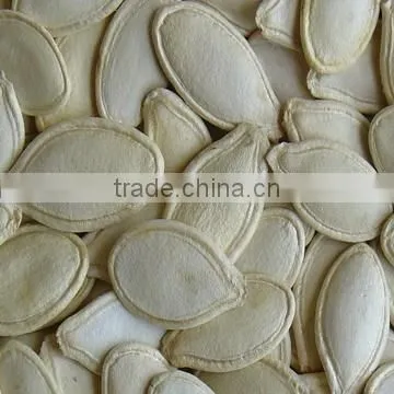 Shine-skin Pumpkin Seeds for Wholesale From China photo-2