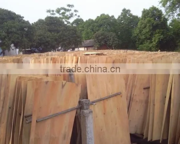 HOT SALE SHORT EUCALYPTUS/ACACIA CORE VENEER FOR PLYWOOD photo-2
