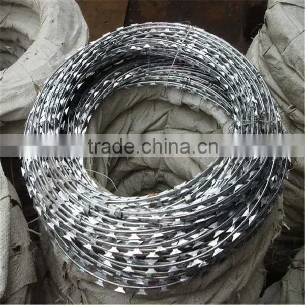 New Premium Potect Material Iron Fence Wire Bulk Galvanized Barbed Wire Made in Anping/Barbed Wire photo-2