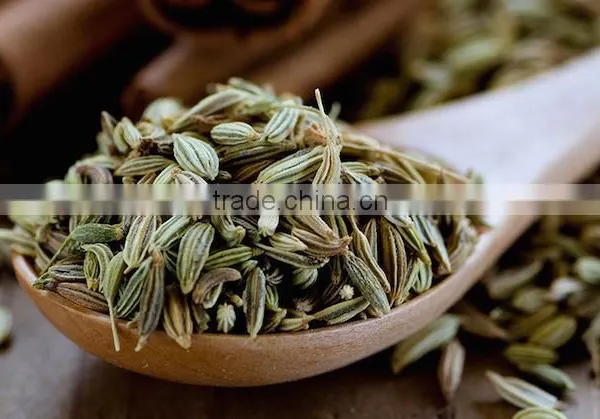 Fennel Seeds photo-2