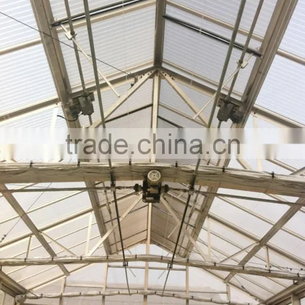 Aluminum Frame Glass Greenhouse PC Greenhouse With Aluminum Structure Single Span With Automatic Ventilation Greenhouse photo-6