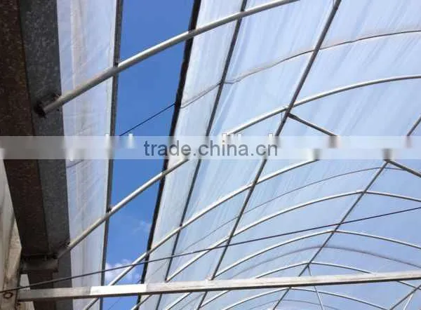 PC Solid Sheet Roof Greenhouse High Quality photo-2