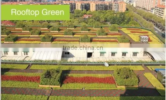 Green Garden Best Selling Products Vertical Hydroponic Systems Green Roof photo-2