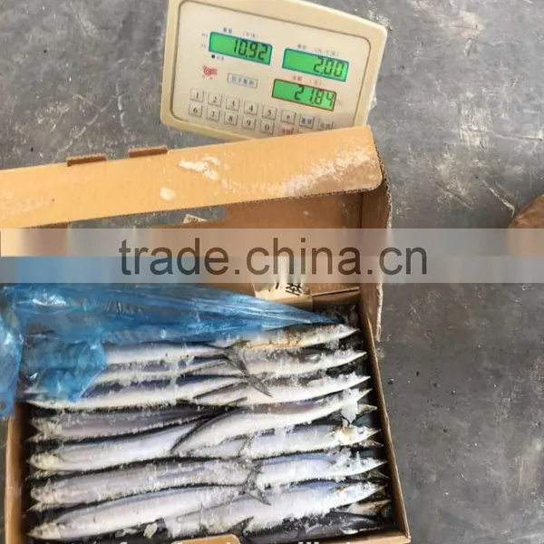 Low Price Seafood Frozen Saury photo-4