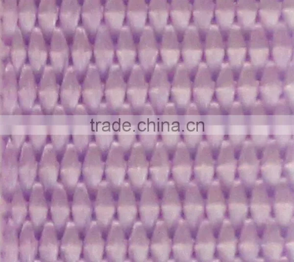 3/4 Inch Multi Dyed Color NYLON Webbing for Lanyard, High Quality Lanyard Webbing, Printing Available Nylon Webbing photo-5