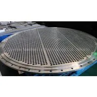 Tube Plates