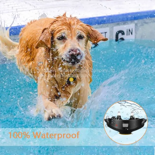 Best Dog Training Collar Vibration Settings /perimeter Shock Collar photo-3