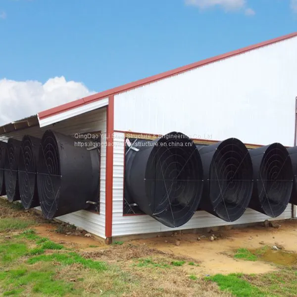 Steel Structure Design Poultry Farm Shed / Poultry Farm Structures photo-3