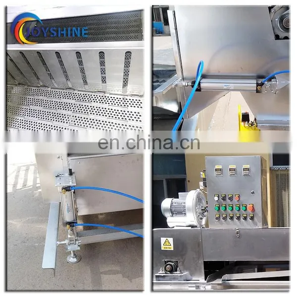 500 Bird per Hour Automatic Chicken Defeathering Machine Poultry Scalding and Plucking Machine photo-7