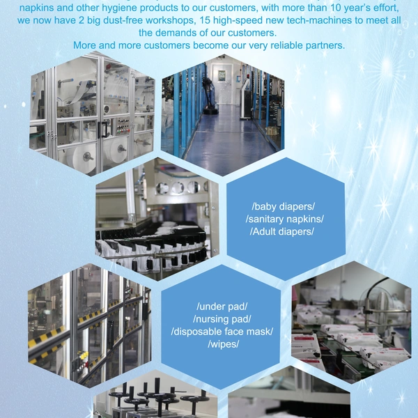 Shenghongda Hygiene Products Co., Ltd. company overview - view 2