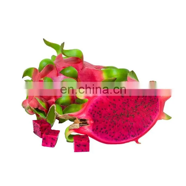 HOT SELLING TROPICAL FRUIT FRESH DRAGON/PITAYA FRUIT FROM VIET NAM photo-5