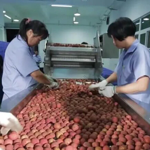 Longan/lychee Canned Mushroom/Green Peas/Corn Seed/Cucumber/Gherkins/Pickle/Vegetable/Pepper/Red Beans Production Line Bottle Sterilizer Peel Pit photo-3