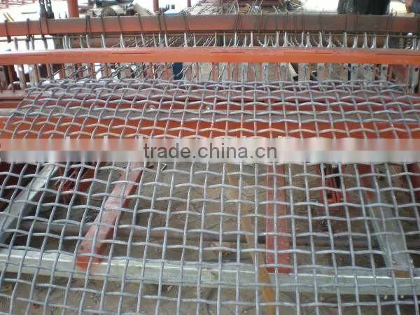 Crimped Wire Mesh