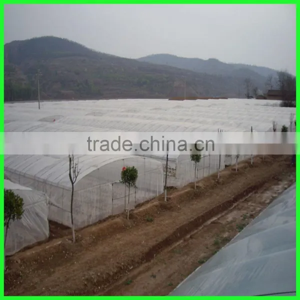 5 Years Use Time Woven Greenhouse Cover,plastic Film for Agricultural photo-6