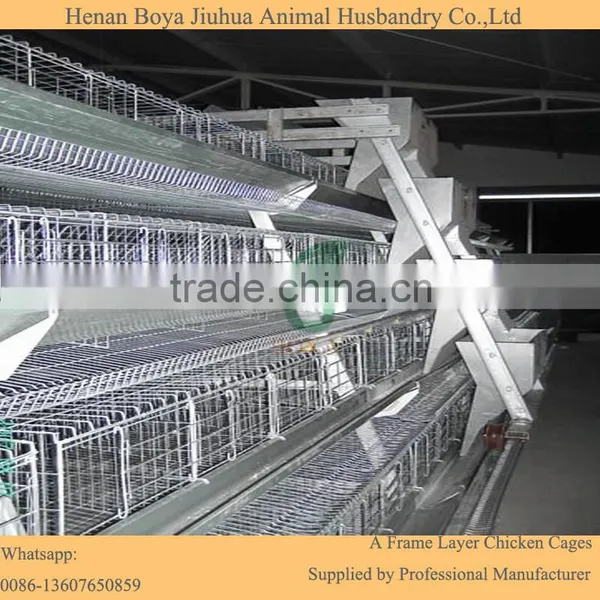 Poultry Farm Automatic Drinking System Feeding System for 10000 Chickens photo-3