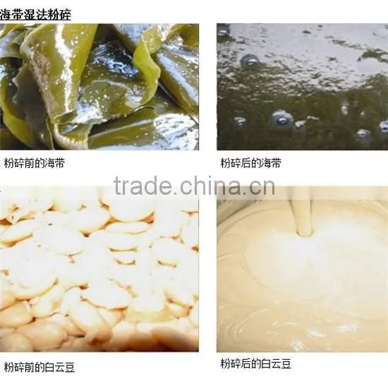 SFJ-W Food Flavors and Fragrances Wet Superfine Pulverizer photo-2
