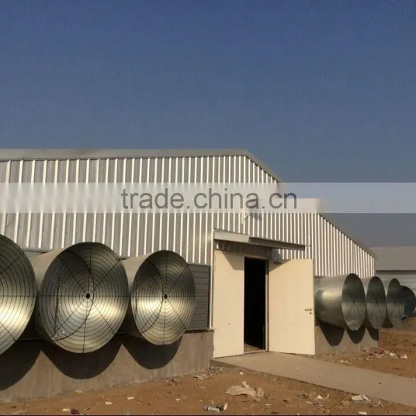 Professional Broiler Chicken House Building photo-4