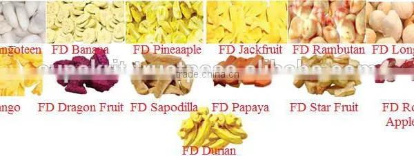 Sell 10 Kinds Of Vacuum Frozen / Dried Fruit From Thailand photo-2