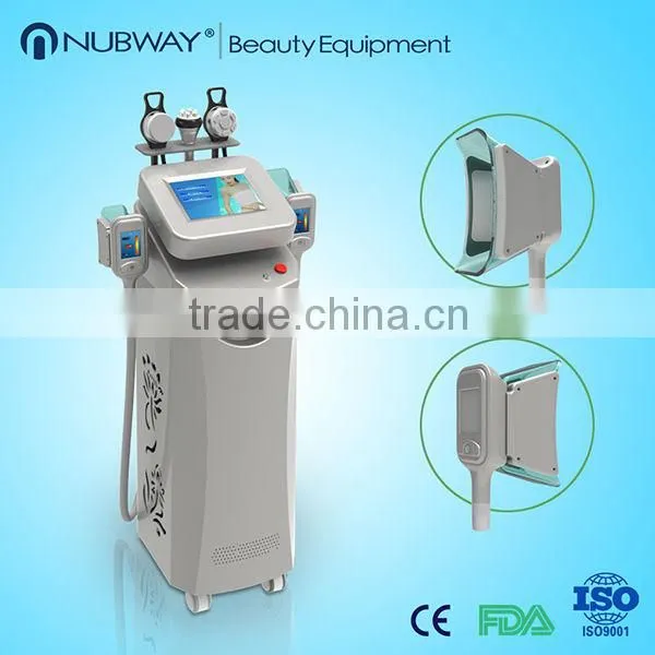 China 5 Handles Body Slimming Massage Beauty Equipment for Sale photo-2