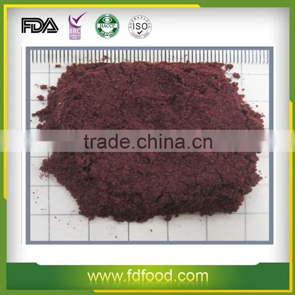 Freeze-Dried Blueberry photo-3