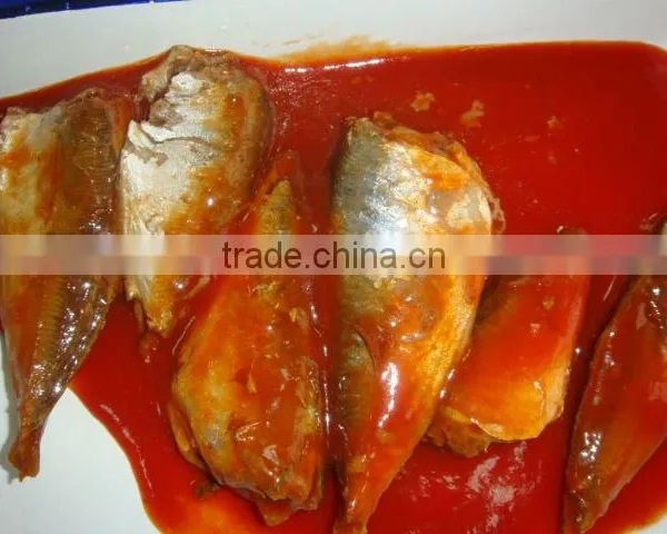 Popular Sale Canned Sardine in Tomato Sauce photo-4