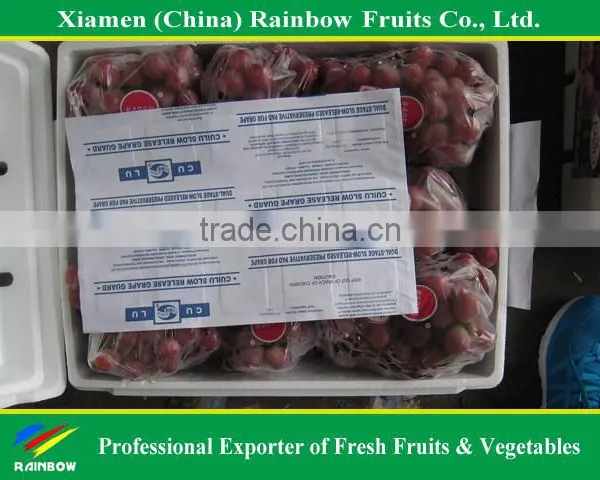 Grapes From China With Sweet Taste photo-5