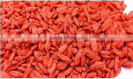 Chinese wolfberry