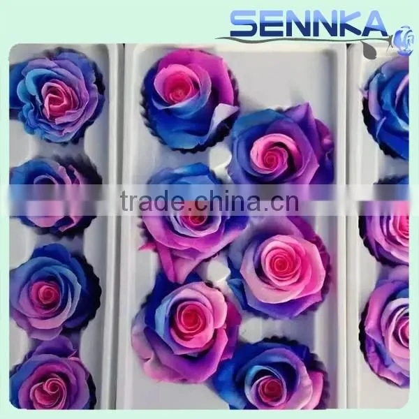 Sennka Fresh Flower/Preserved Flower Roses/Multi-colored photo-2