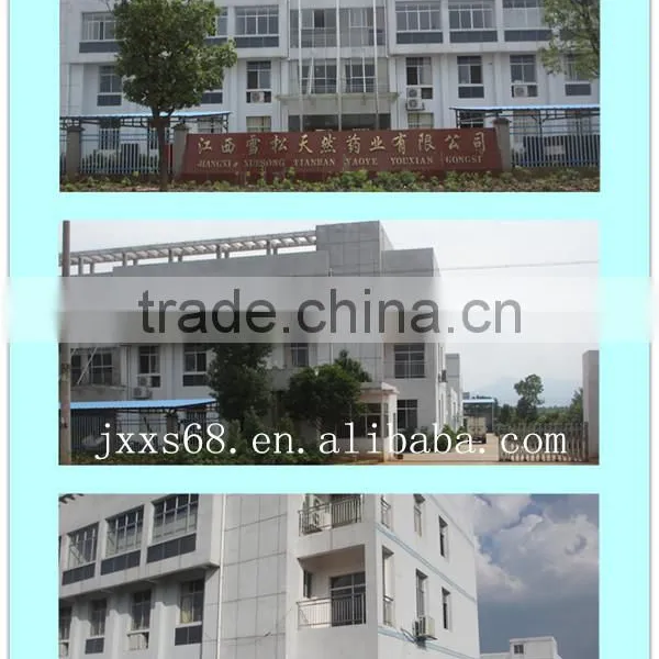 China Best Selling Turpentine Oil Price for Export photo-4